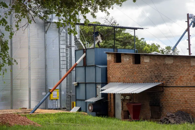 ROC grain auger connected to grain drying equipment